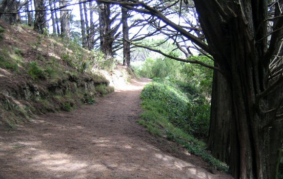 Lord of the Rings location in Mount Victoria, Wellington