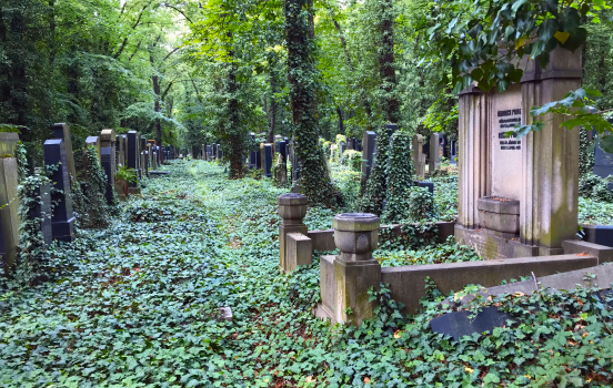 New Jewish Cemetery, Prague