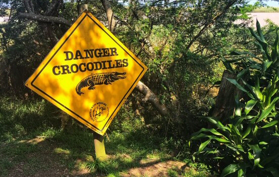Crocodile warning sign in St Lucia