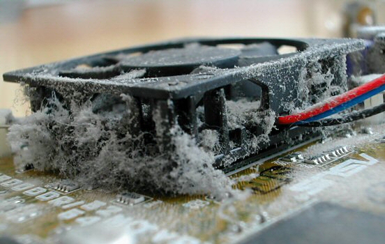 Dusty GeForce graphics card