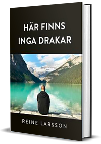 Book cover of Här finns inga drakar