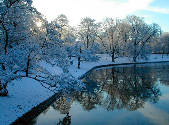 Hazy shade of winter