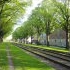 Tram trail
