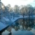 Hazy shade of winter