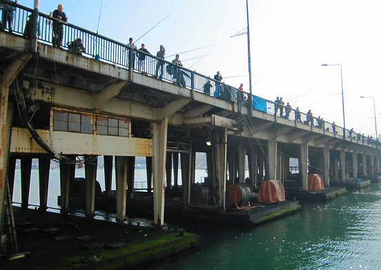 Fishermen at Atatürk bridge